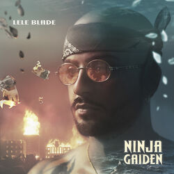 Cover of Ninja Gaiden