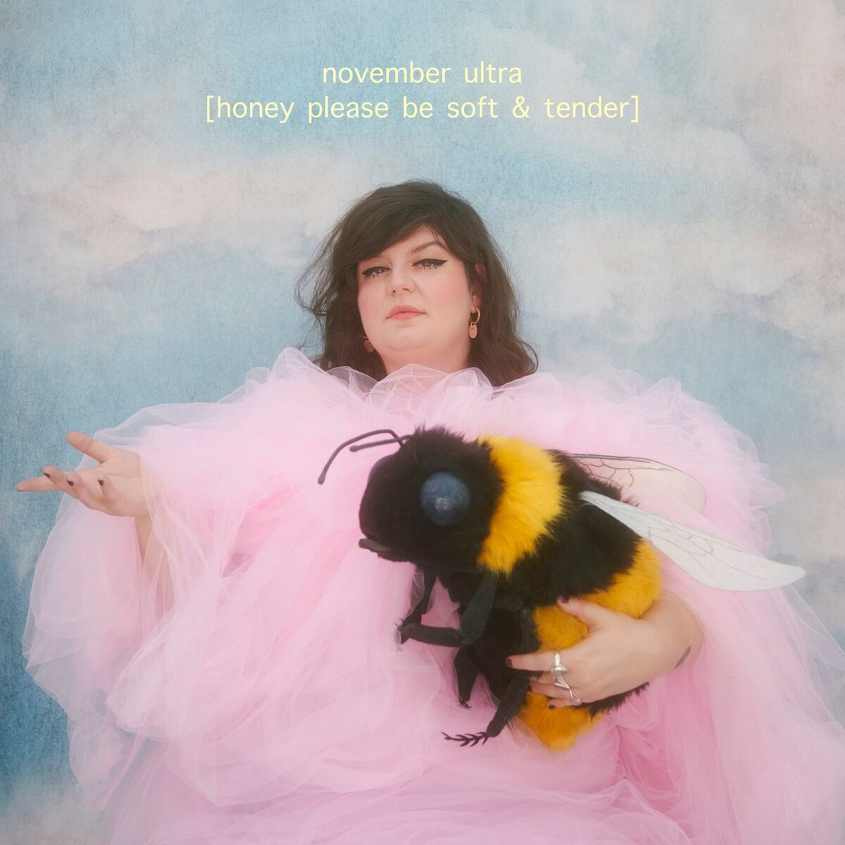 Album cover of the end.