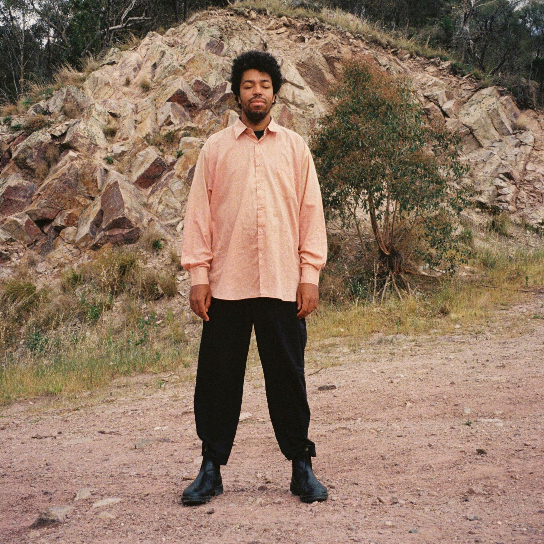 Album cover of From Brown To Maroon