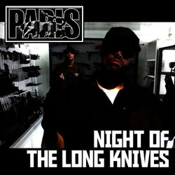 Cover of Night of the Long Knives