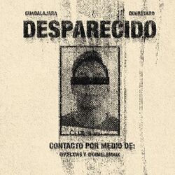 Cover of Desaparecido