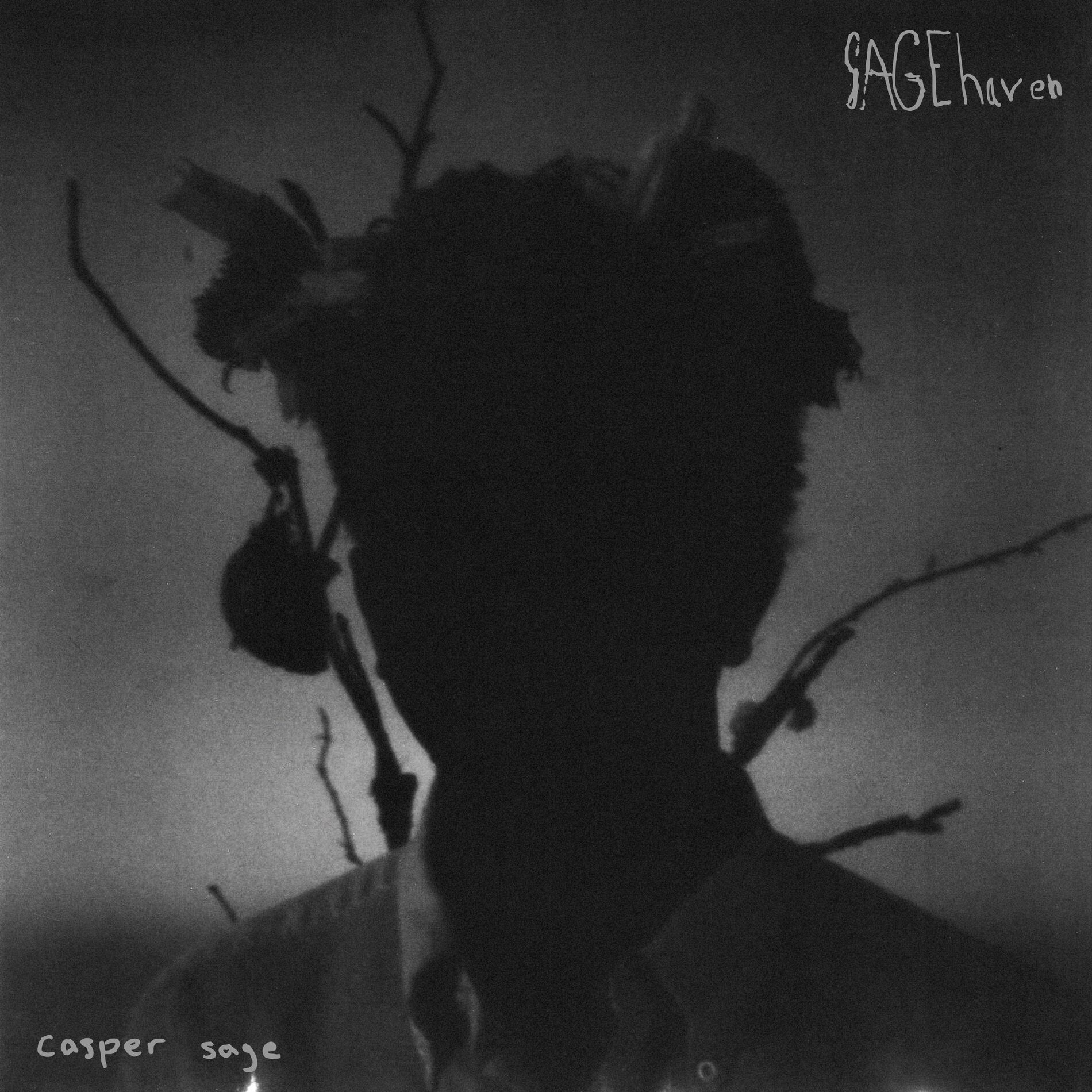 Album cover of SAGEhaven