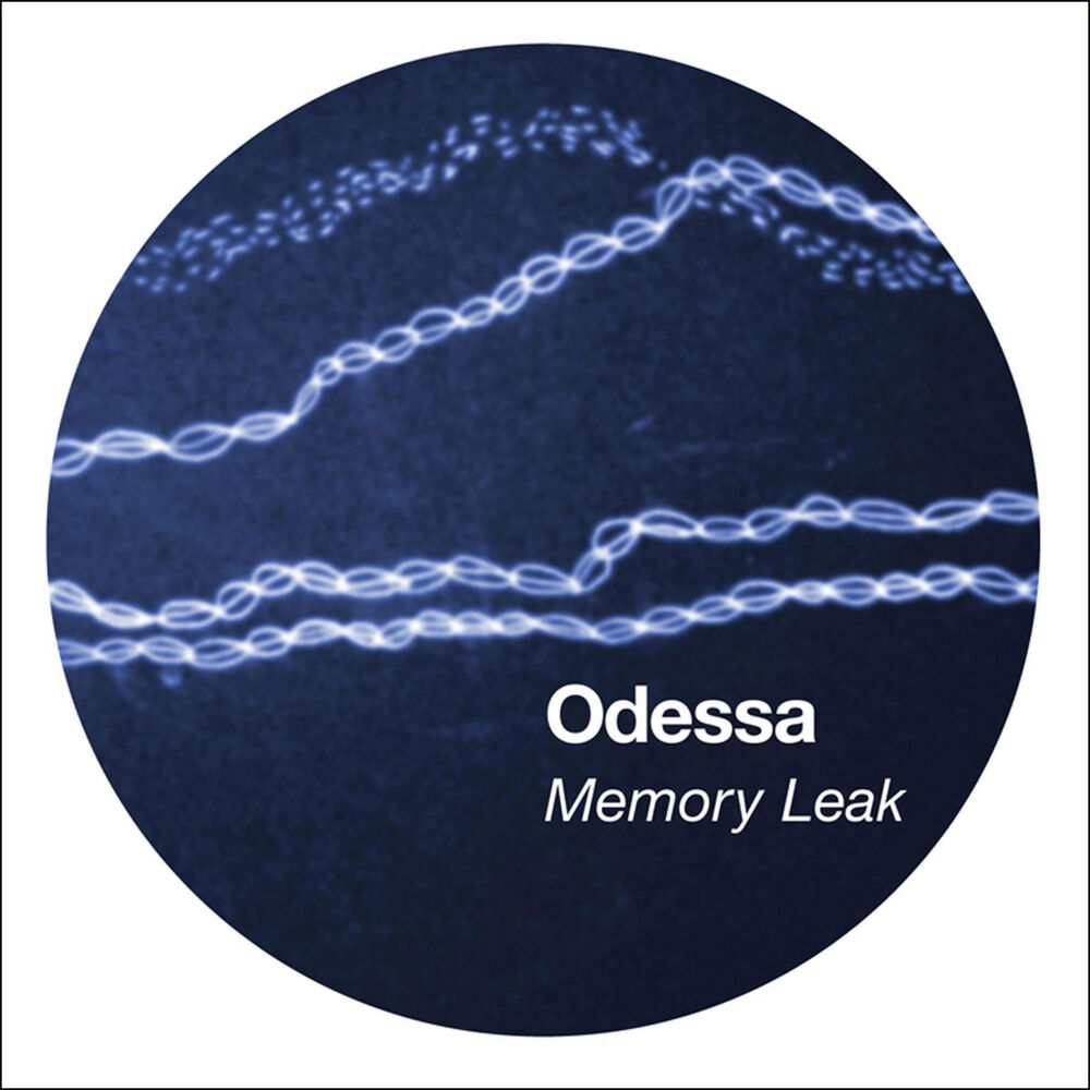 Picture of Memory Leak