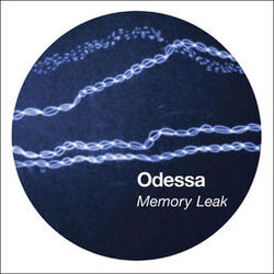 Cover of Memory Leak