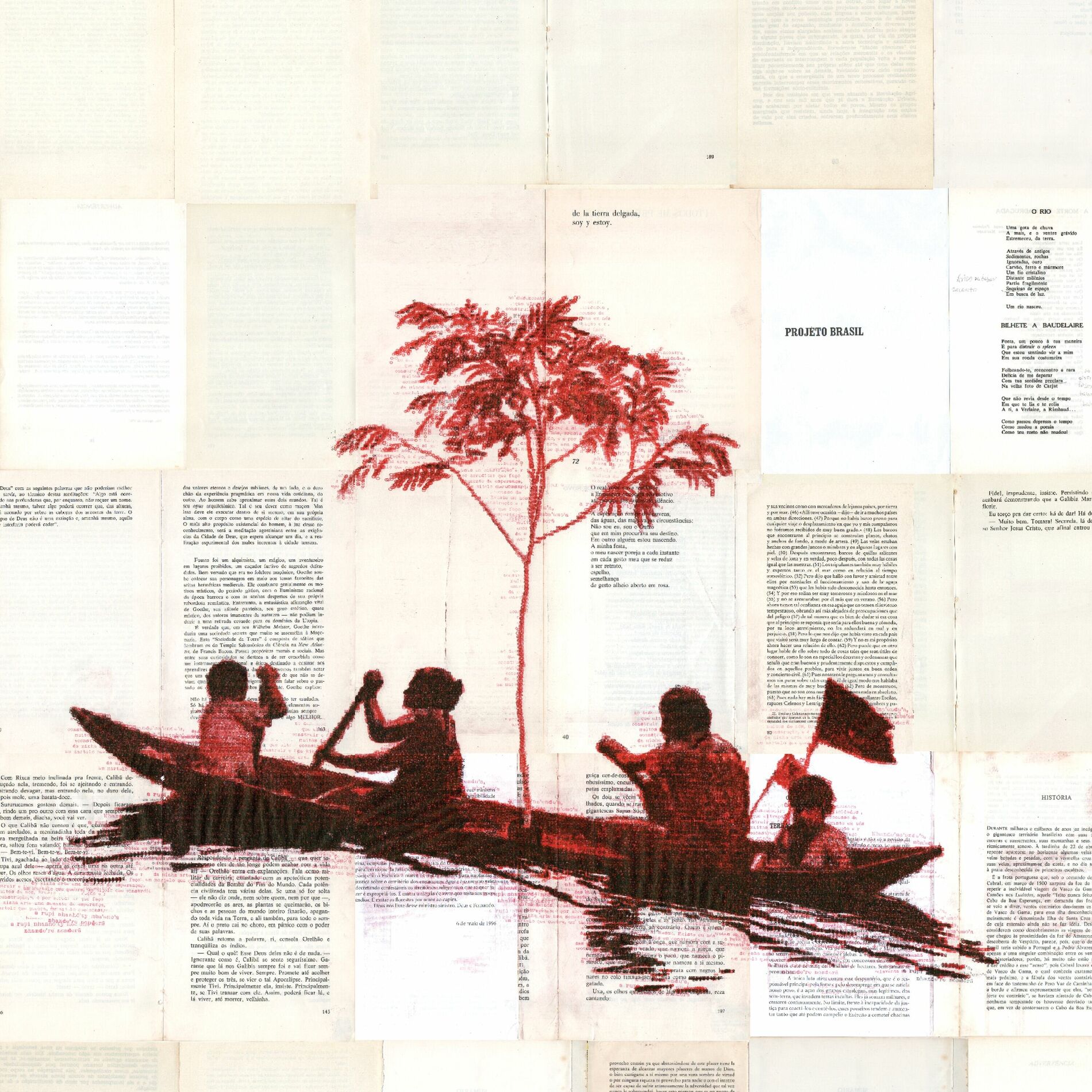 Album cover of Mariposa Tigre