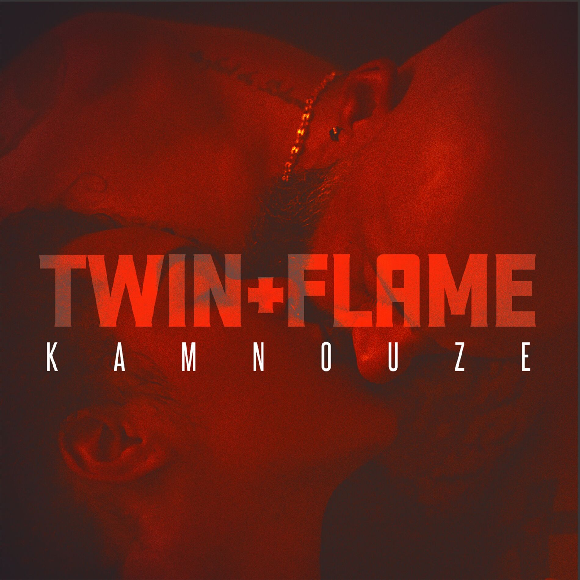 Album cover of Twin Flame