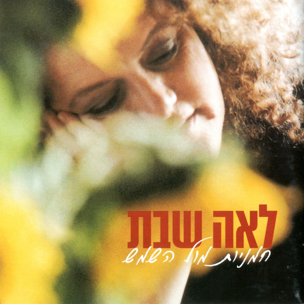Picture of חמניות מול השמש