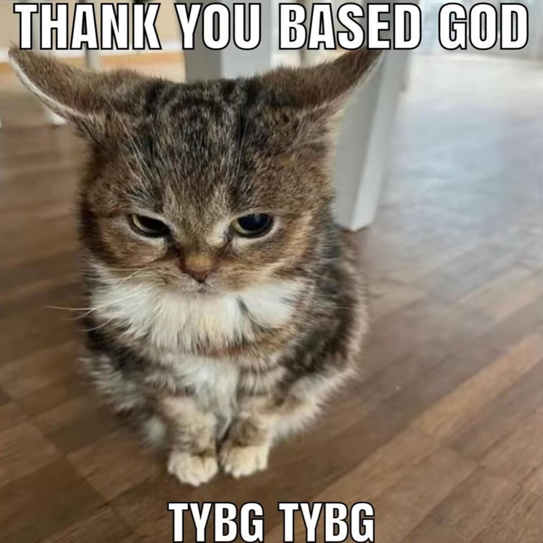 Album cover of BASED FREESTYLE (feat. Lil B)