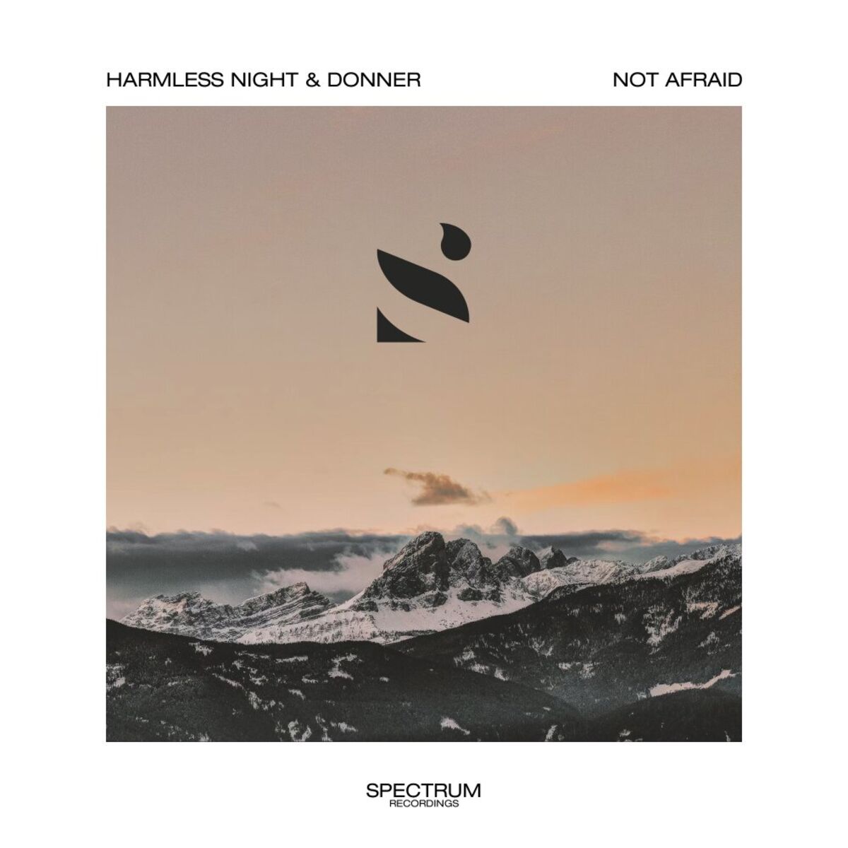 Album cover of Not Afraid