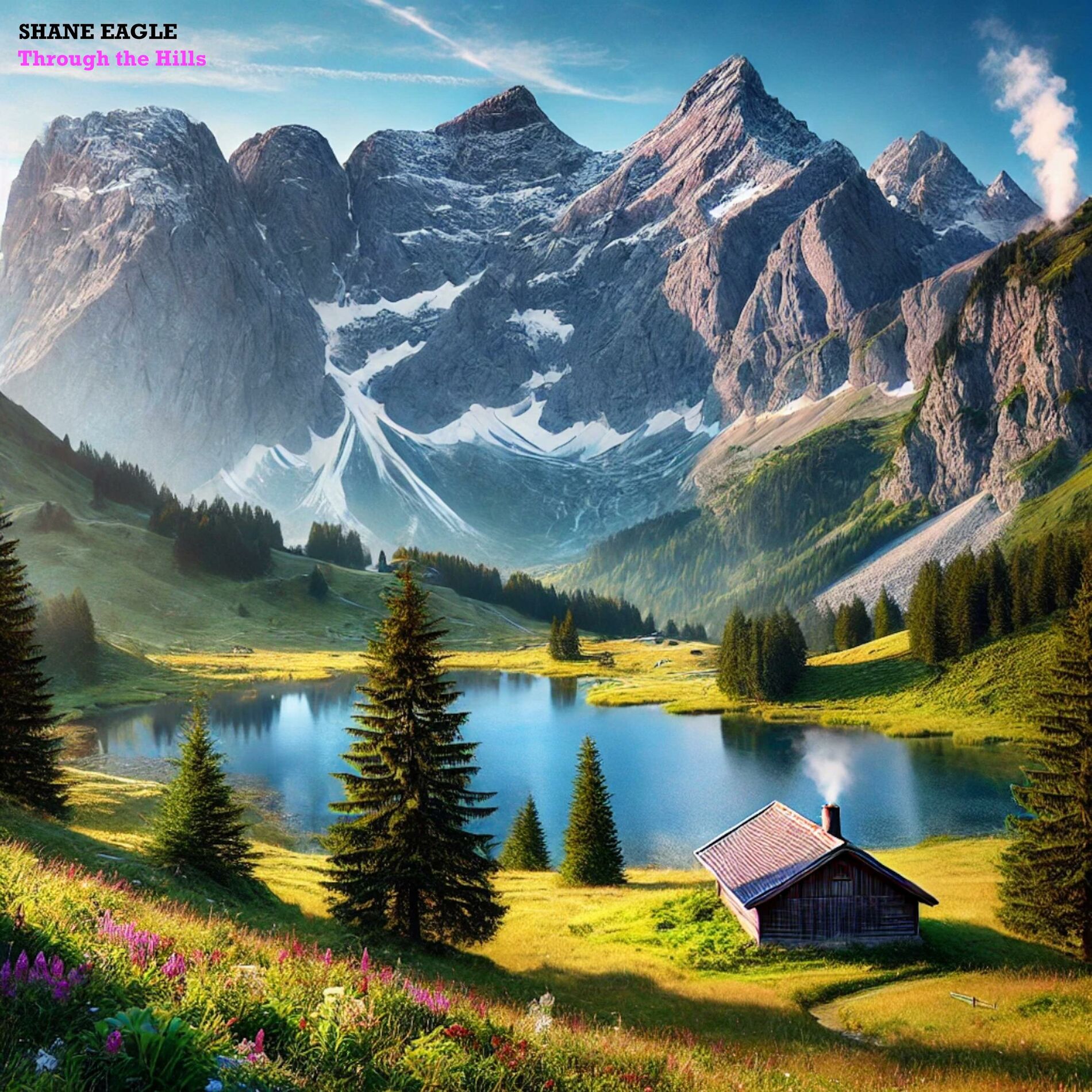 Album cover of Through the Hills
