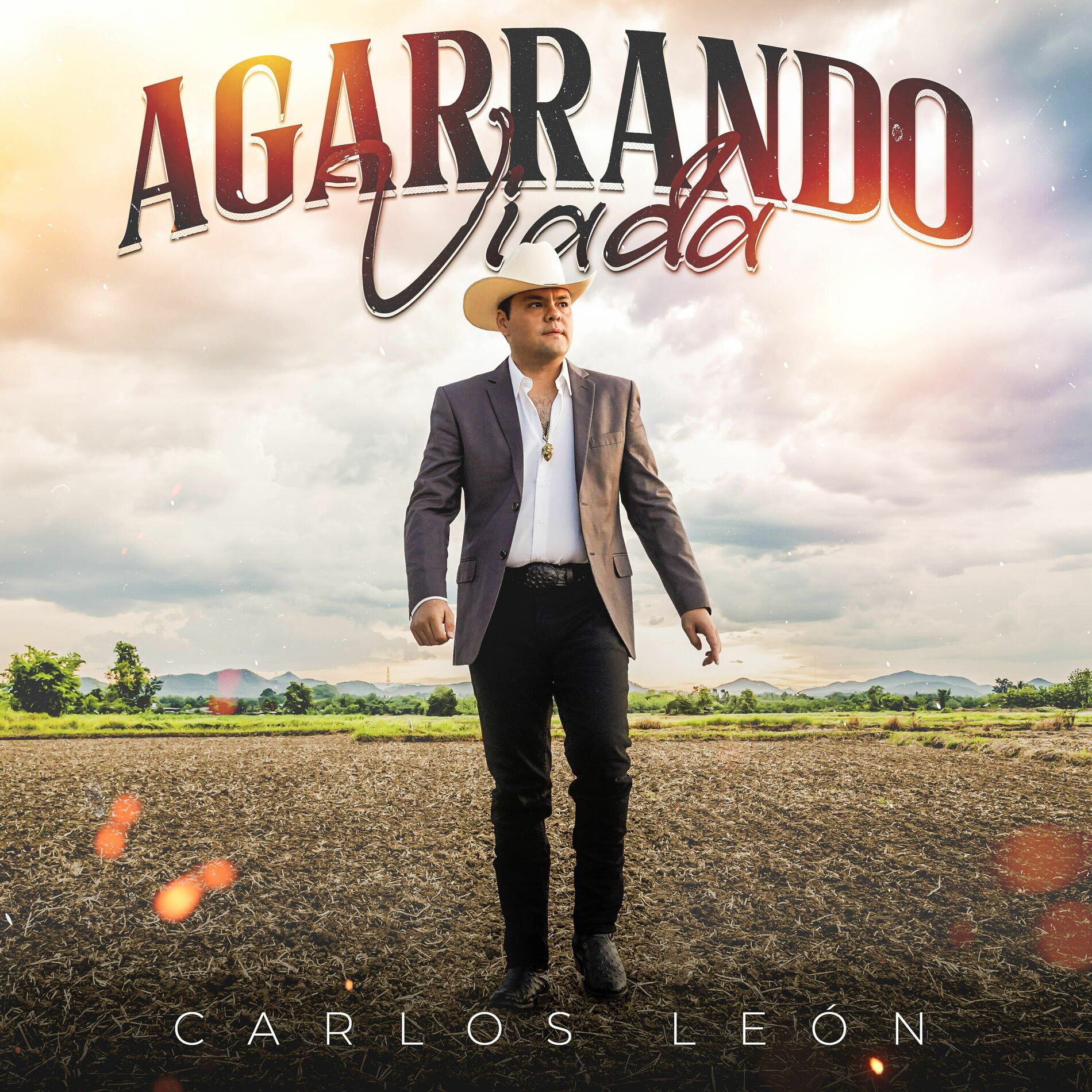 Album cover of Agarrando Viada