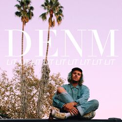 Cover of Lit