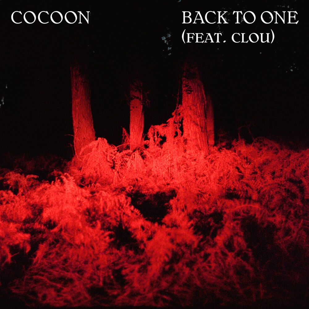 Picture of Back To One