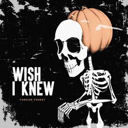 Cover of Wish I Knew
