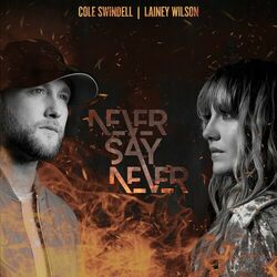 Cover of Never Say Never