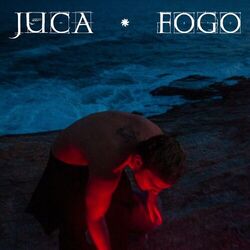 Cover of Fogo