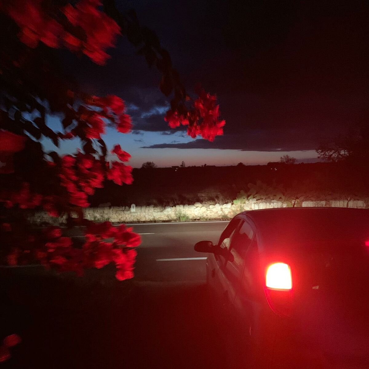 Album cover of Set Me Free
