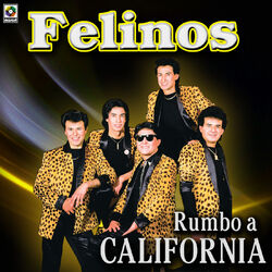 Cover of Rumbo A California