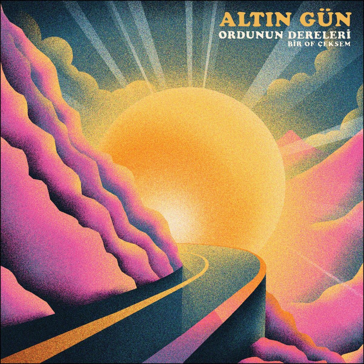 Album cover of Ordunun Dereleri b/w Bir Of Çeksem