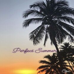 Cover of Perfect Summers