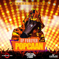 Cover of Up Forever