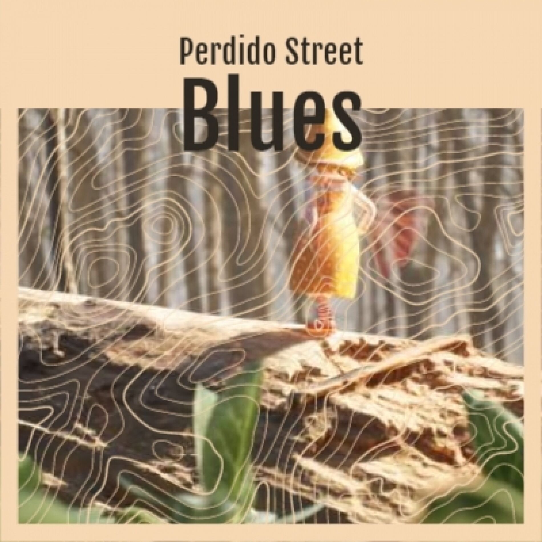 Album cover of Perdido Street Blues