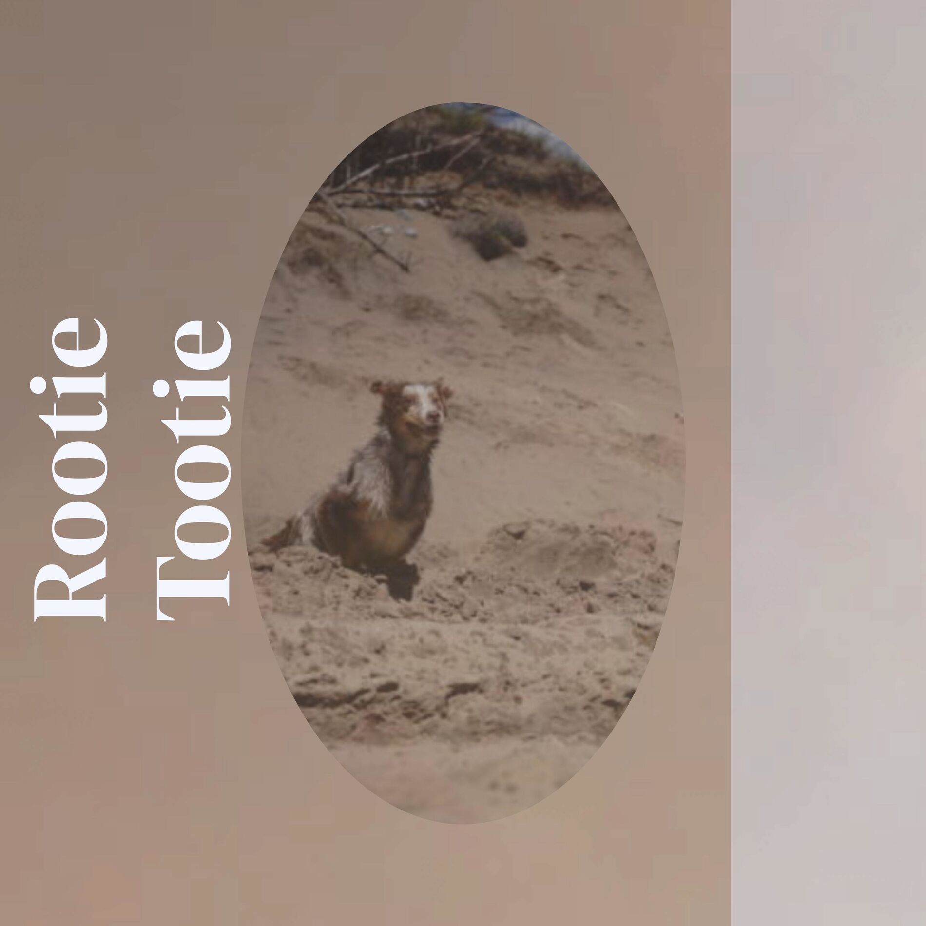 Album cover of Rootie Tootie