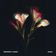 Compromised by motherearth album cover