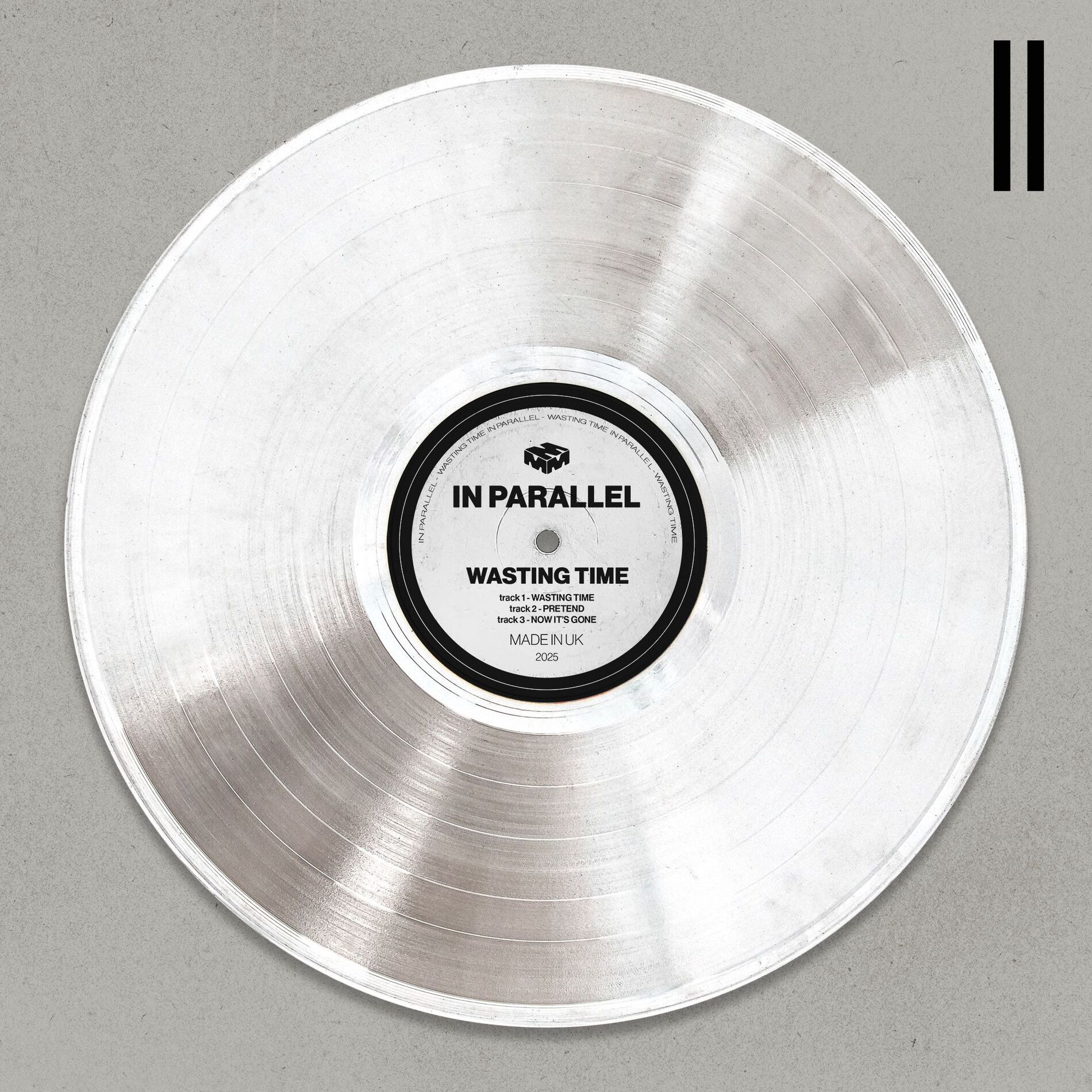 Album cover of WASTING TIME