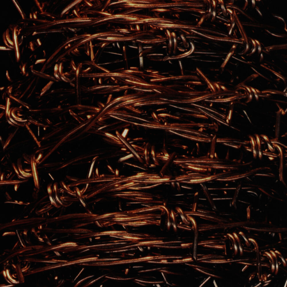 Picture of Freedom Bondage