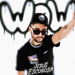 Cover of Wow
