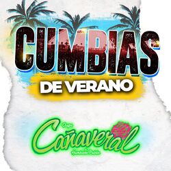 Cover of CUMBIAS DE VERANO