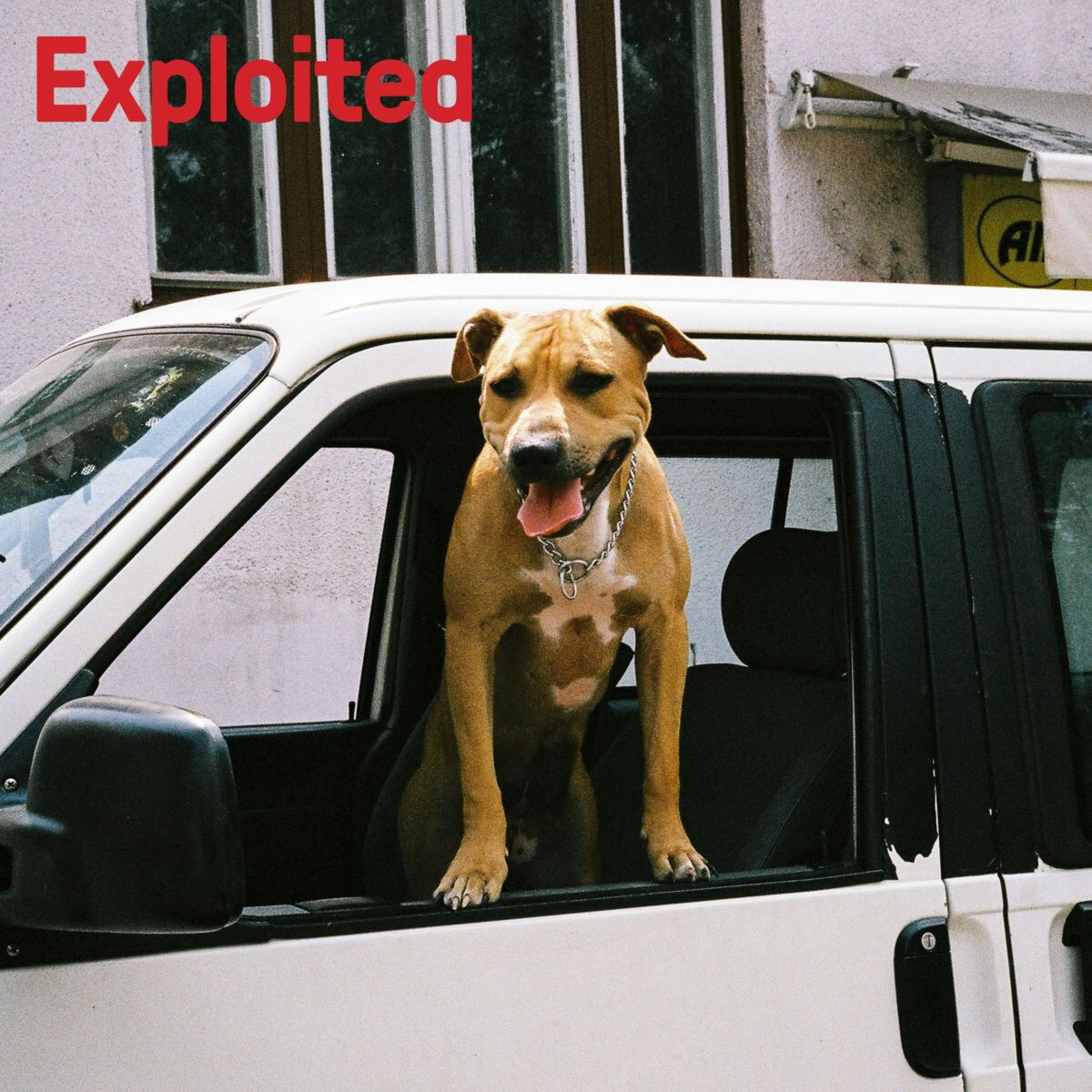 Album cover of Perspective