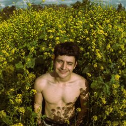 Cover of !נפצים