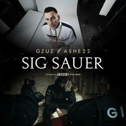 Cover of Sig Sauer