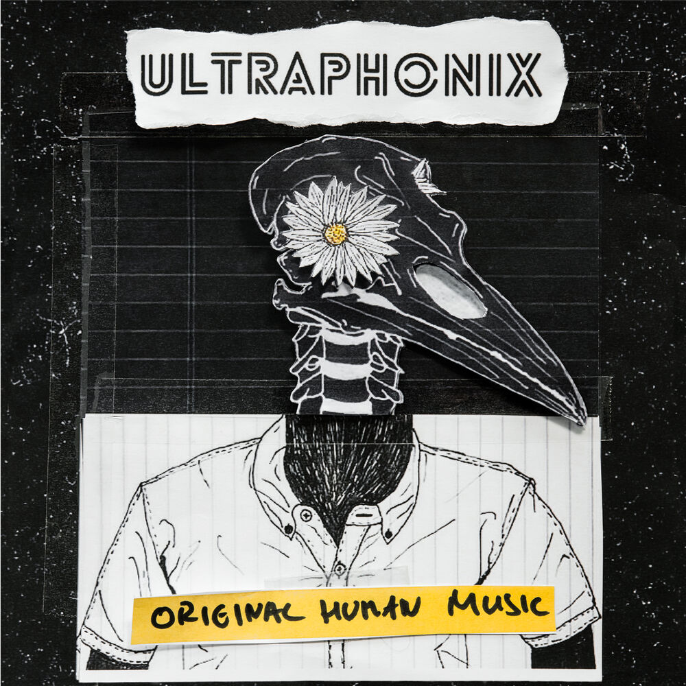 Picture of Original Human Music