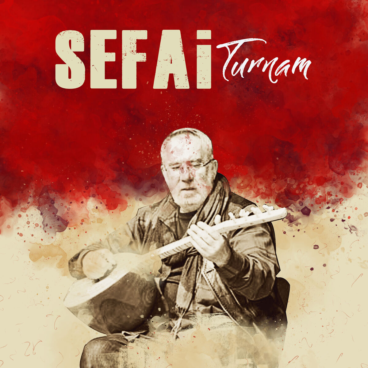 Album cover of Turnam