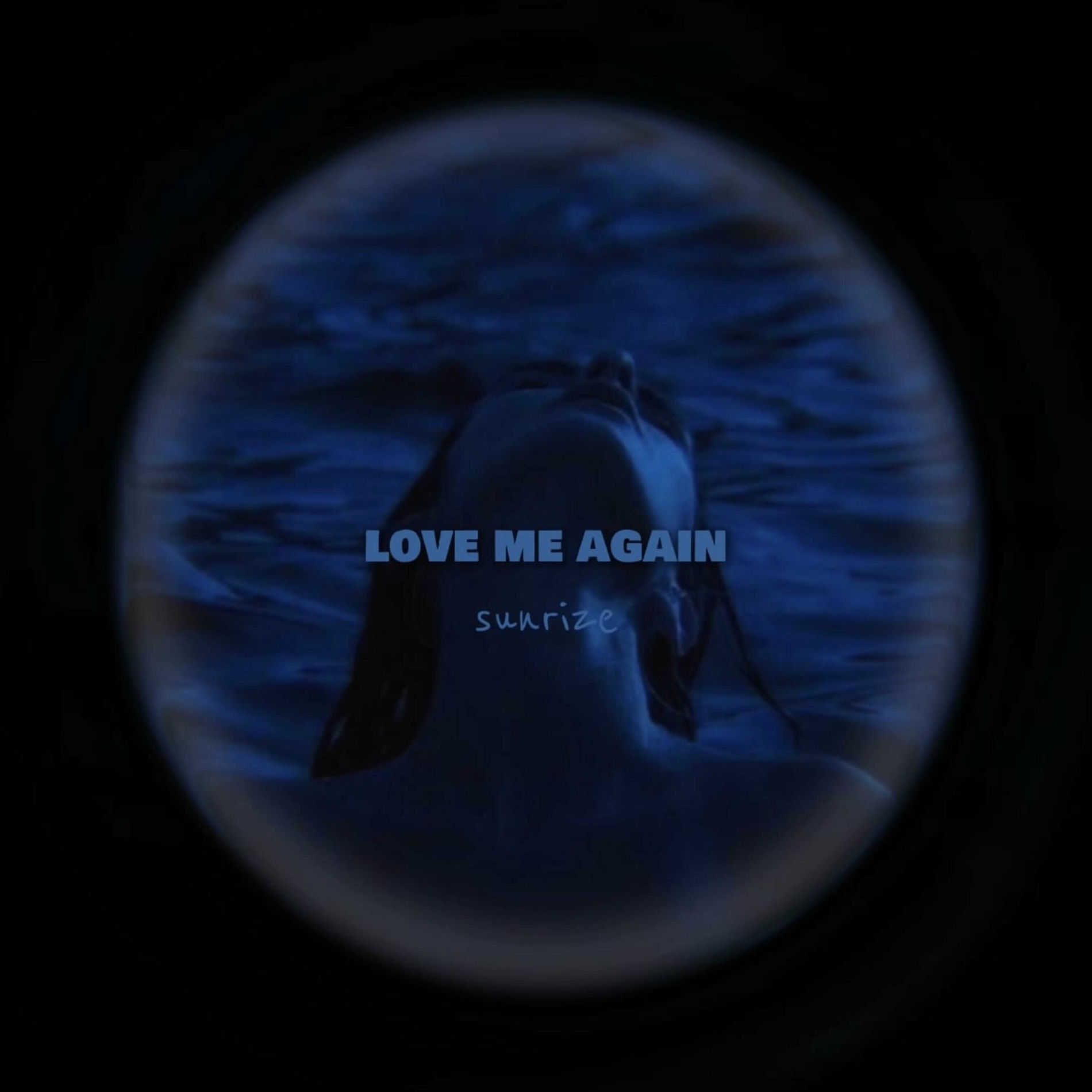 Album cover of Love Me Again