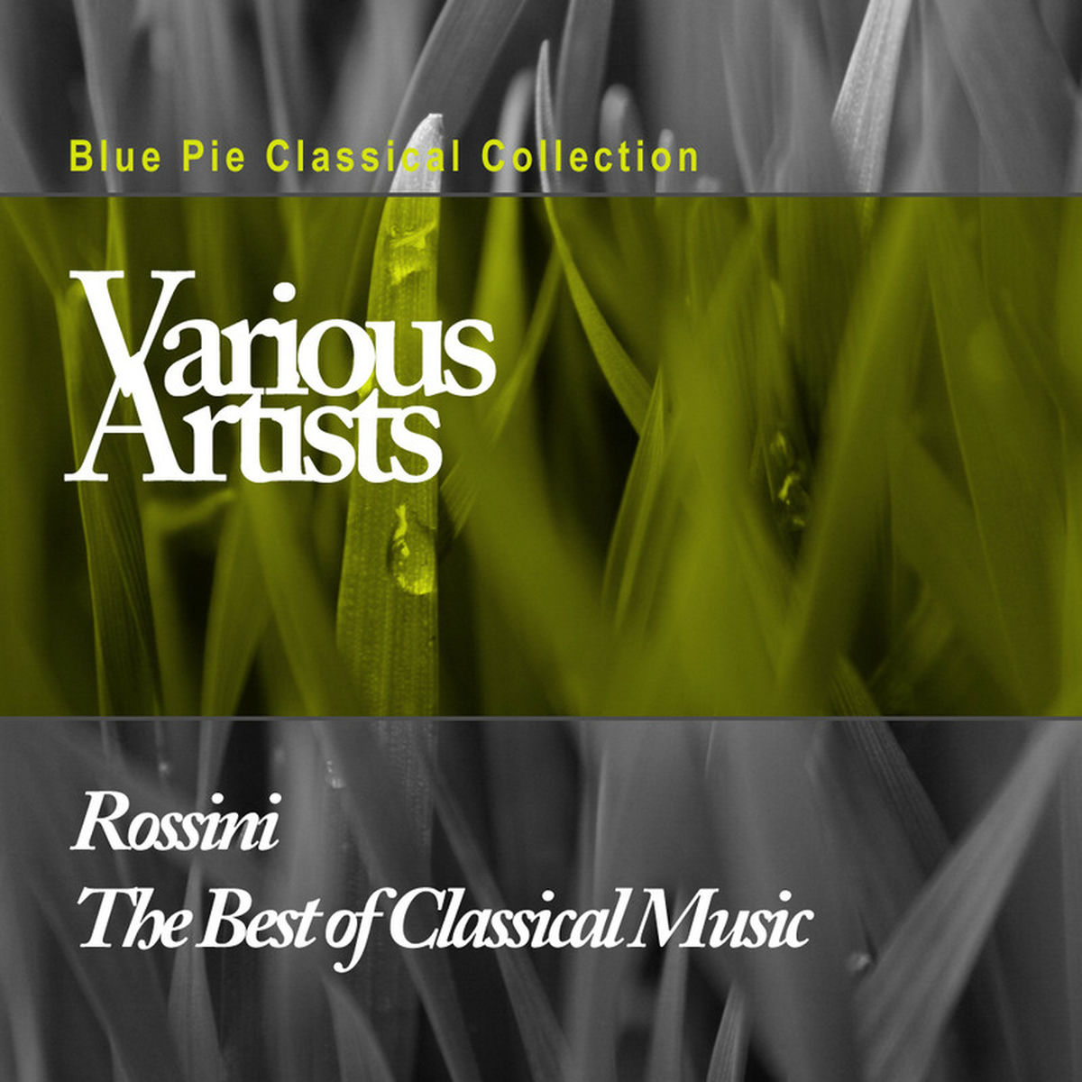 Album cover of Rossini: Litaliana in Algeri - La Scala Di Seta - La Cambiale Di Matrimonio - Guillaume Tell - The Barber of Seville - La Cenerent