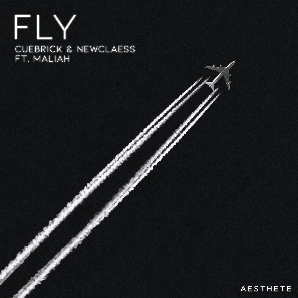 Picture of Fly