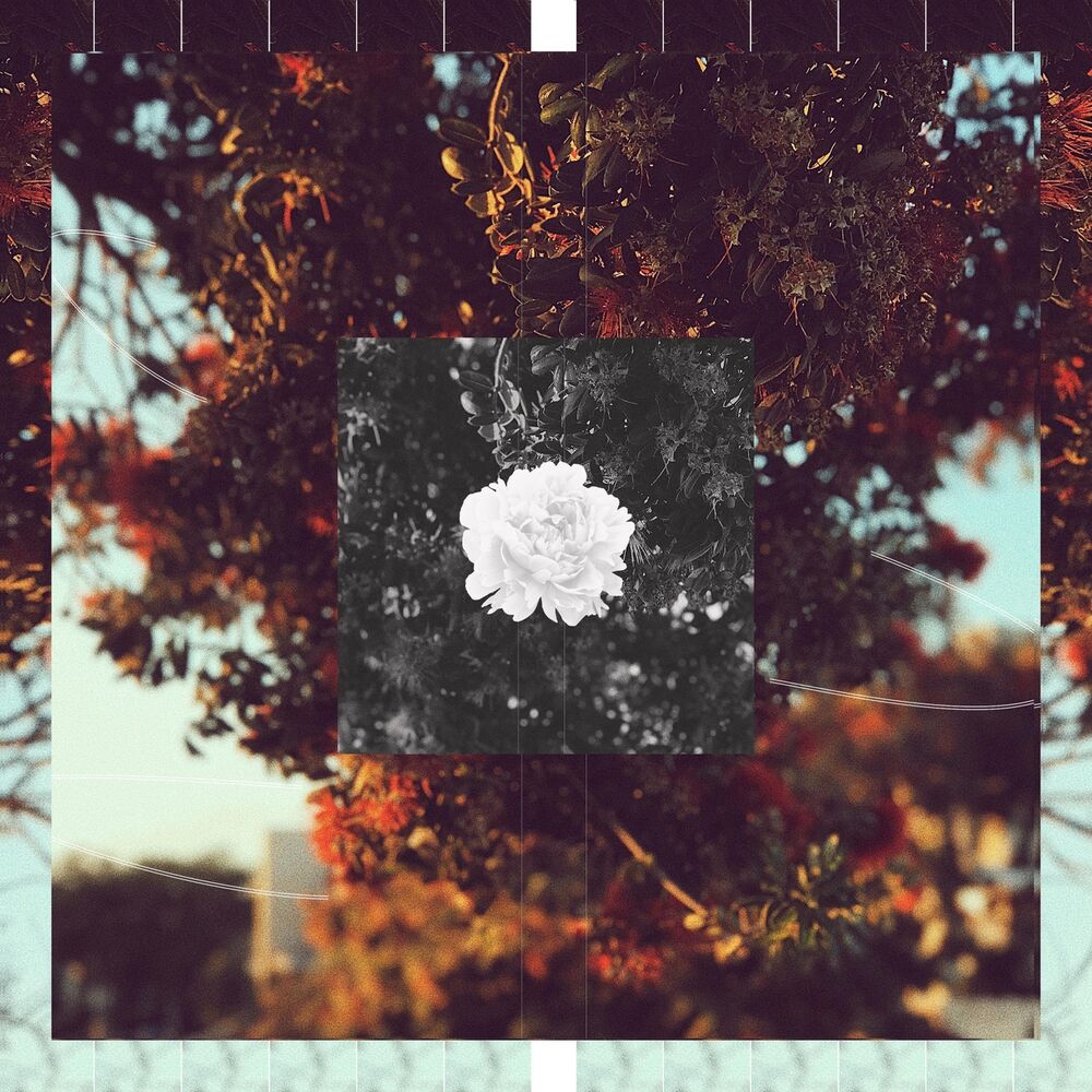 Picture of Remembering How to Forget