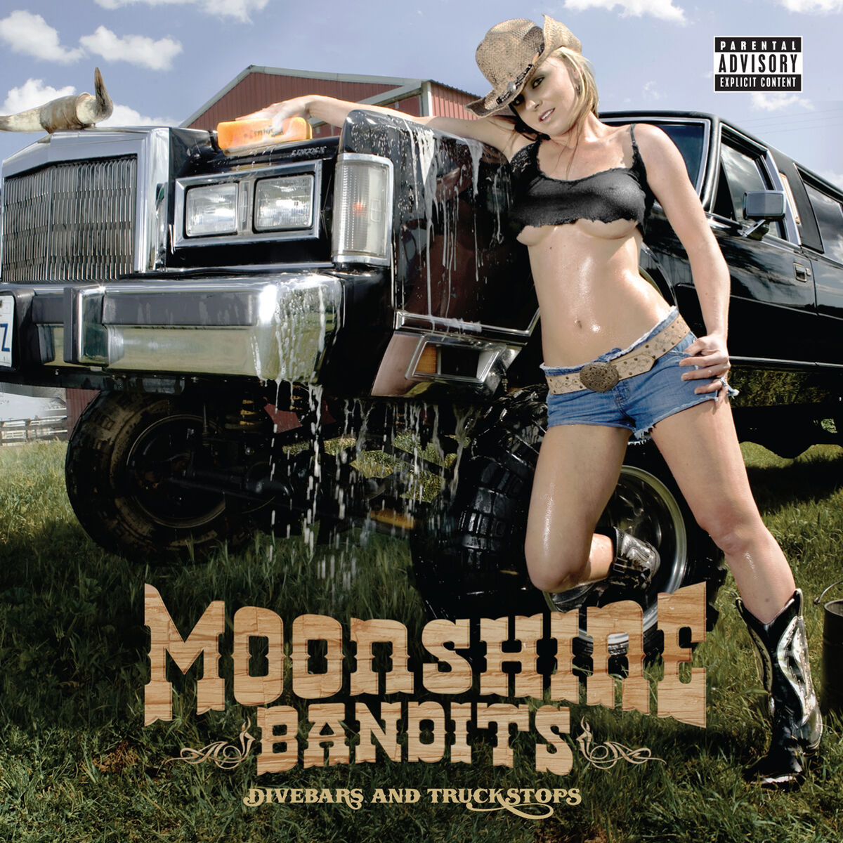 Album cover of Divebars and Truckstops