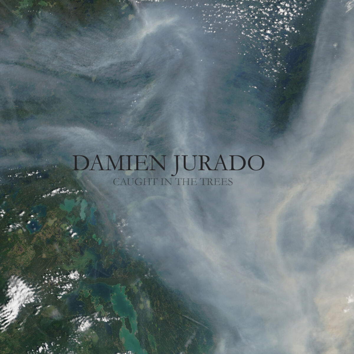 Album cover of Caught In The Trees