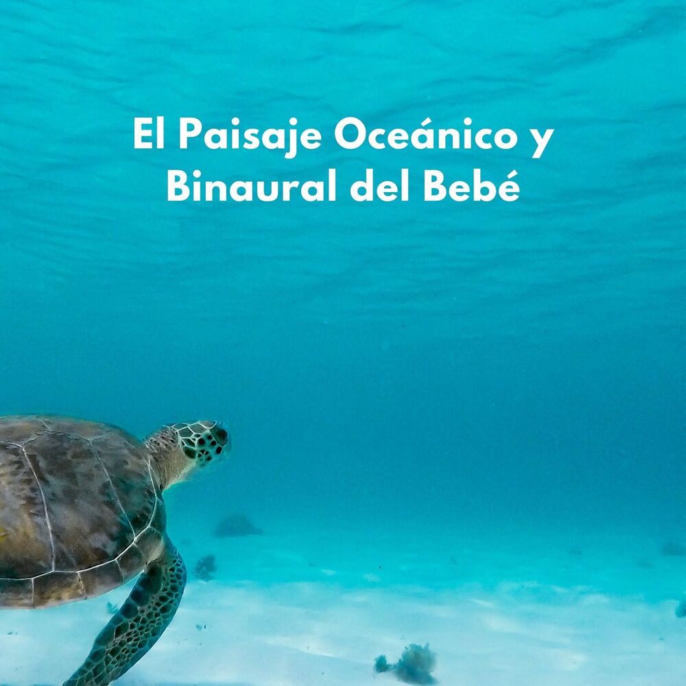 Picture of El Paisaje Oceánico Y Binaural Del Bebé