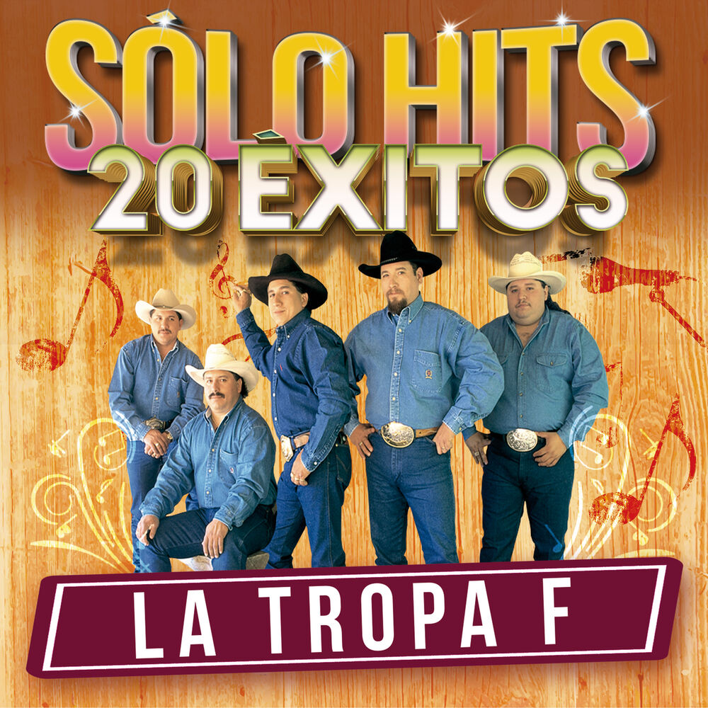 Picture of Sólo Hits (20 Éxitos)