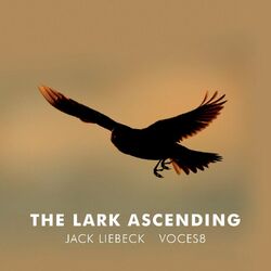 Cover of The Lark Ascending (Arr. for violin and choir by Paul Drayton)