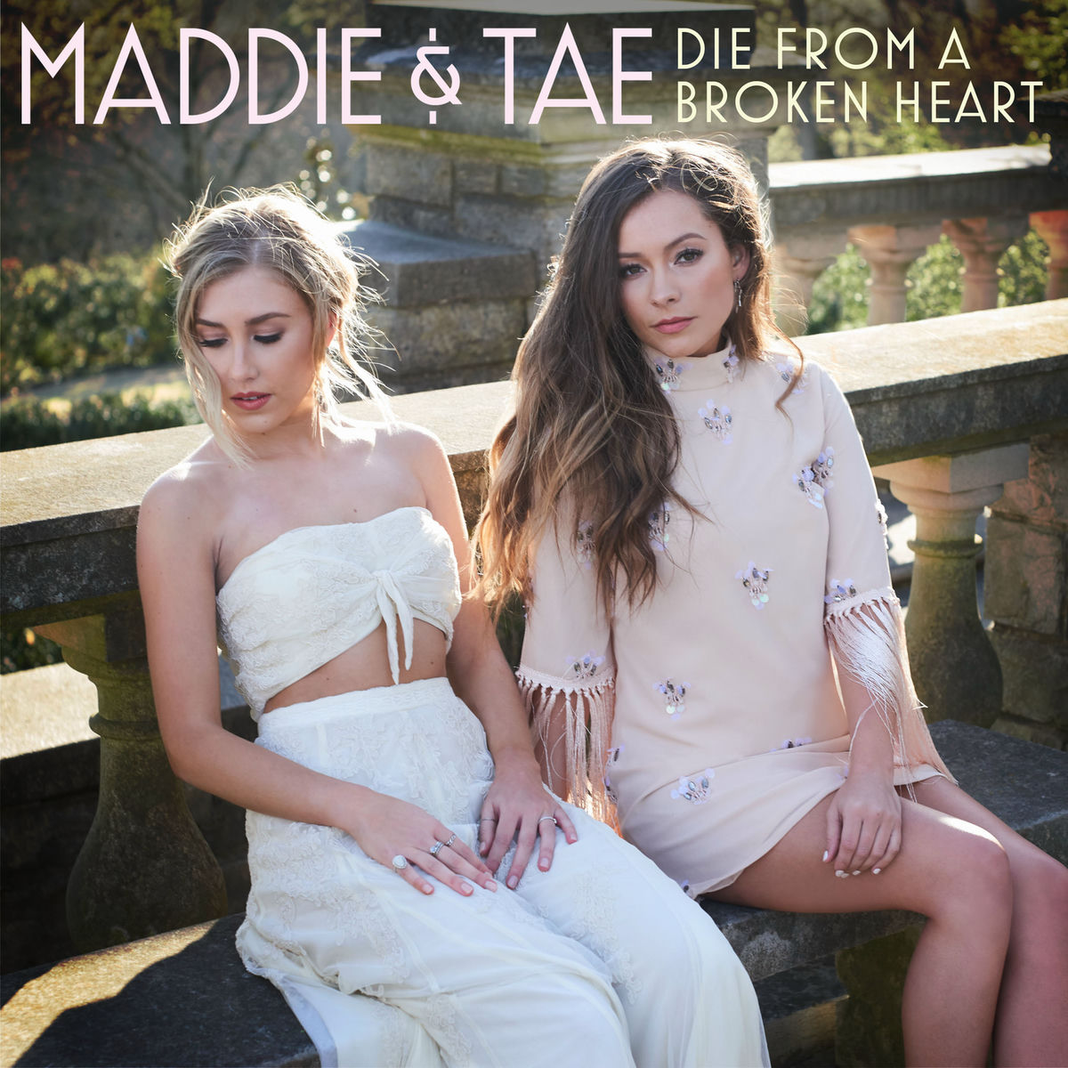 Album cover of Die From A Broken Heart