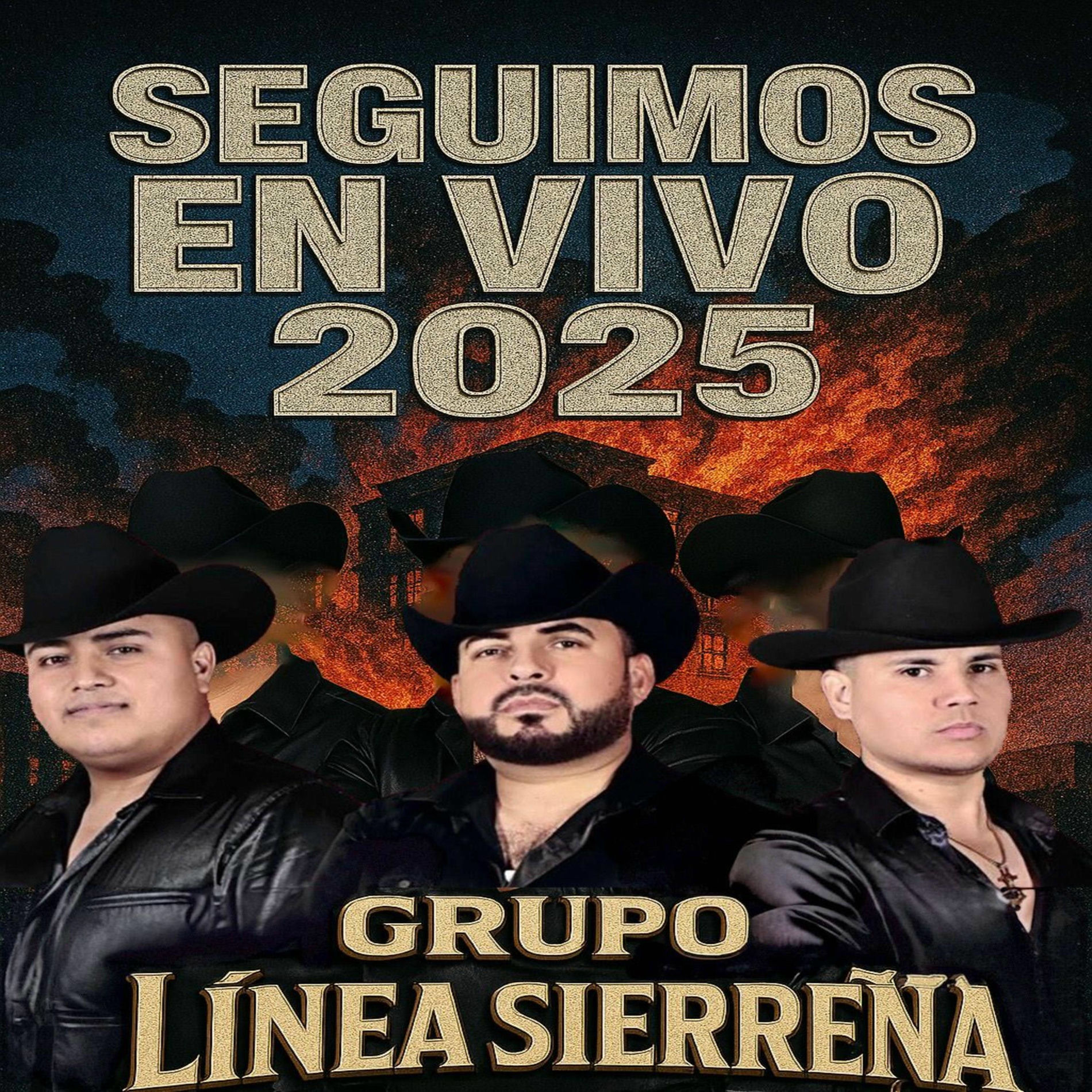 Album cover of Seguimos En Vivo 2025