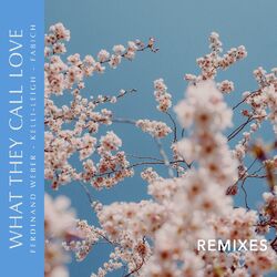 Cover of What They Call Love (Remixes)