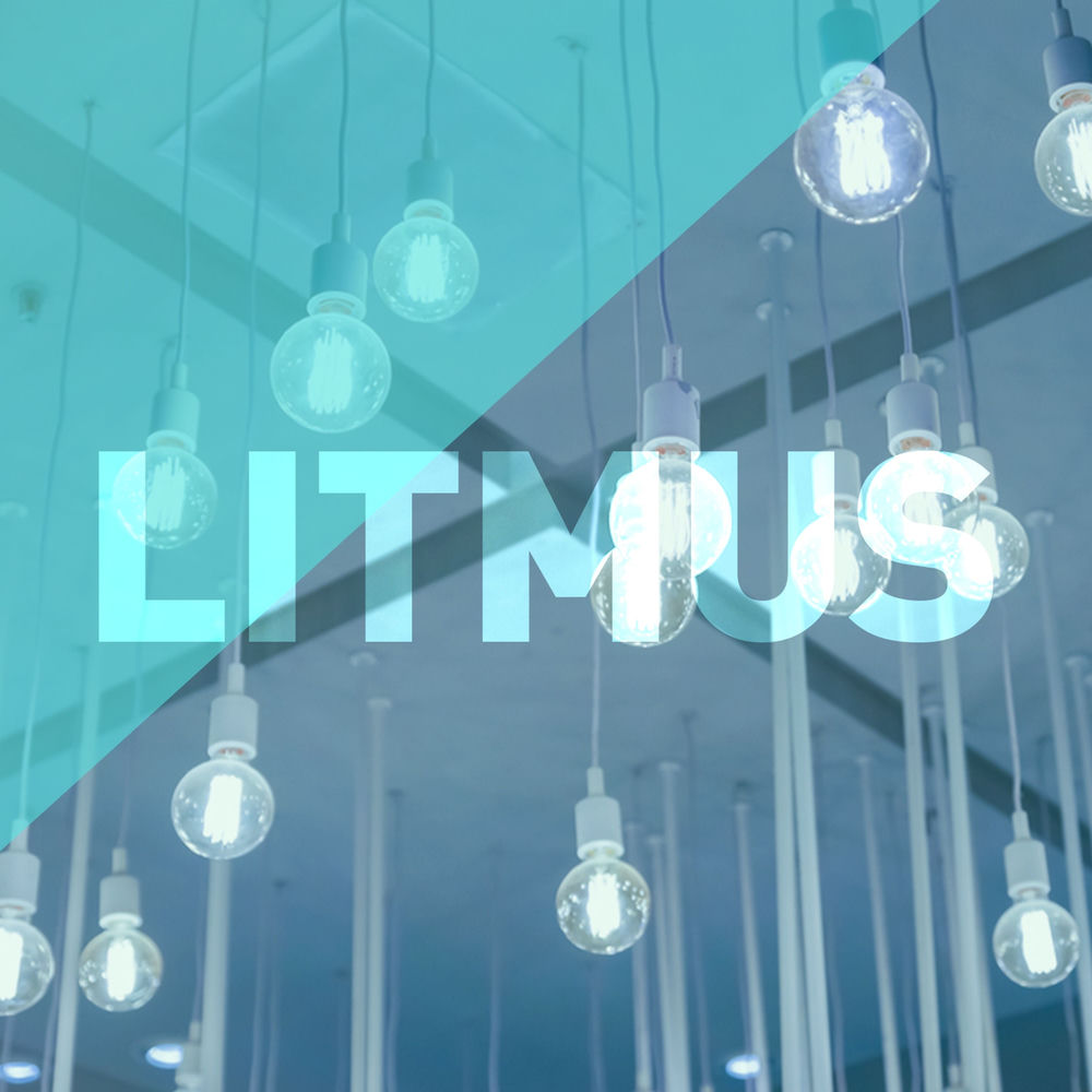 Album artwork for Unhairable by Litmus